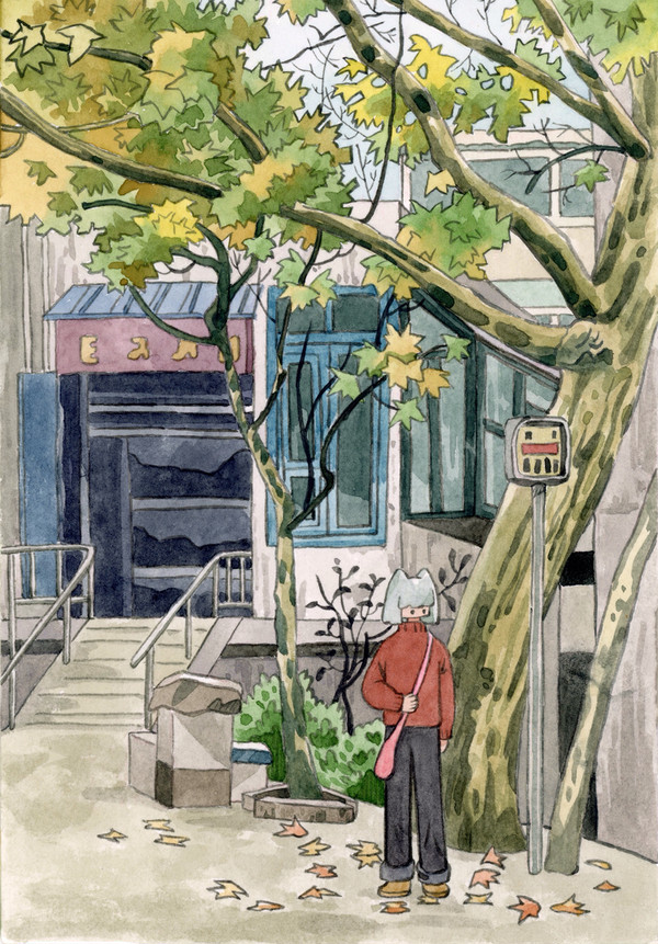南方城市冬天的落叶