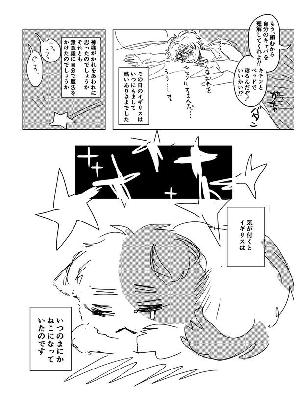 ほしまつ5の展示でした
