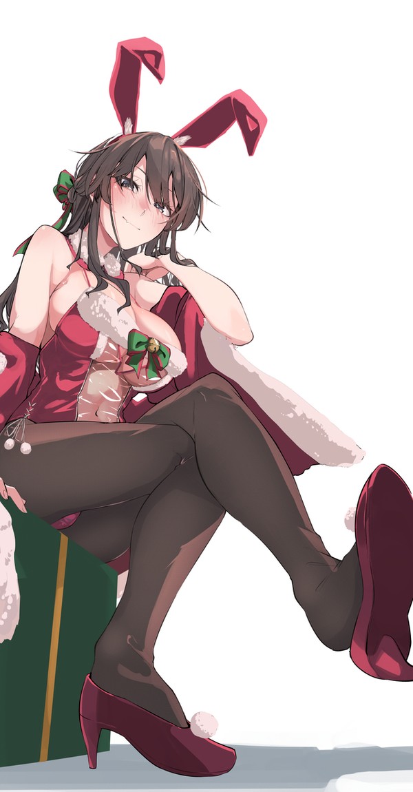 足柄サンタバニー