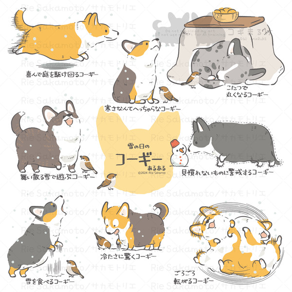 雪の日のコーギーあるある