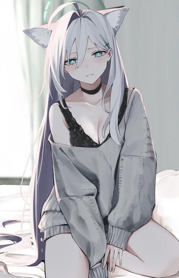 シロコ＊テラー