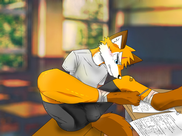 An armless fox is studying maths