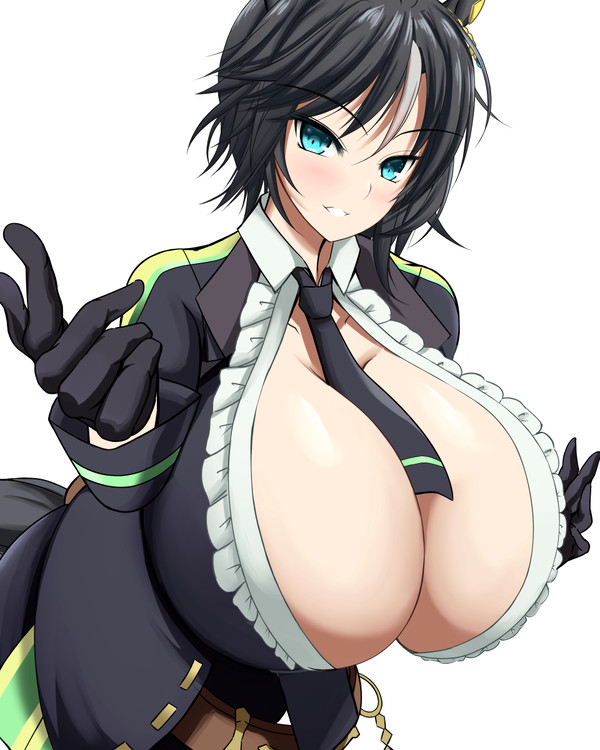 フジキセキ