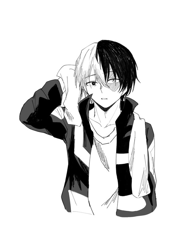 MHAログ(轟のみ)