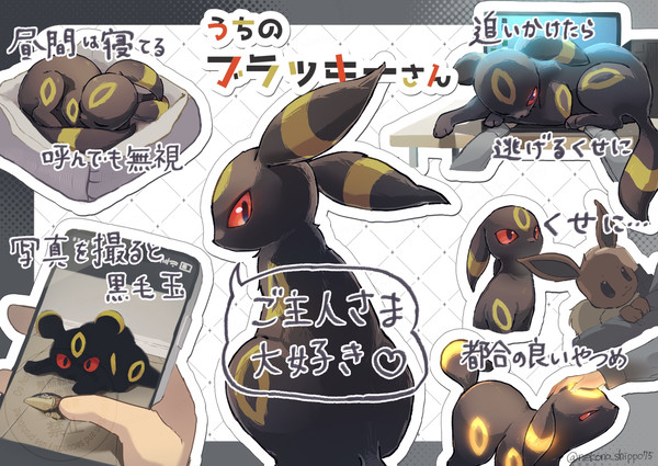 うちのブラッキーさん
