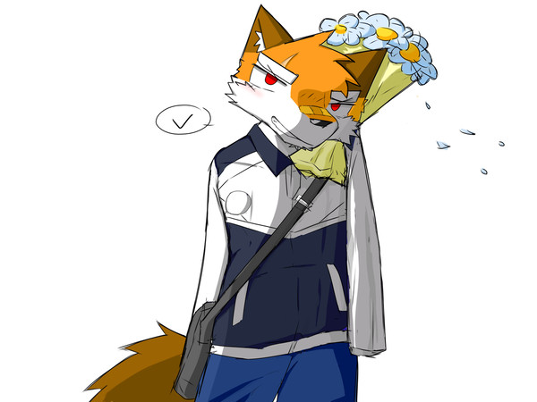无臂狐狸给你送花～