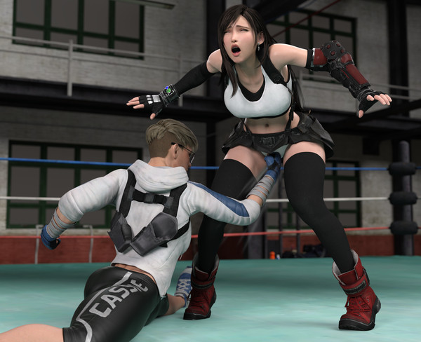 Tifa Lockhart: Nut Punch