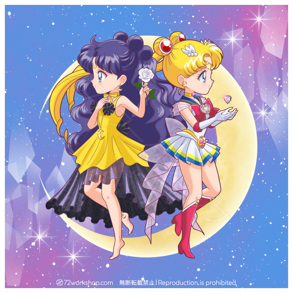 🌙スーパーセーラームーン&人間ルナ🐈⬛