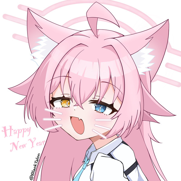 小鳥遊ホシノ