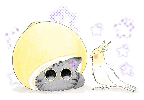 オカメインコ審神者~ふわふわとひらひら・魅惑の果実?~