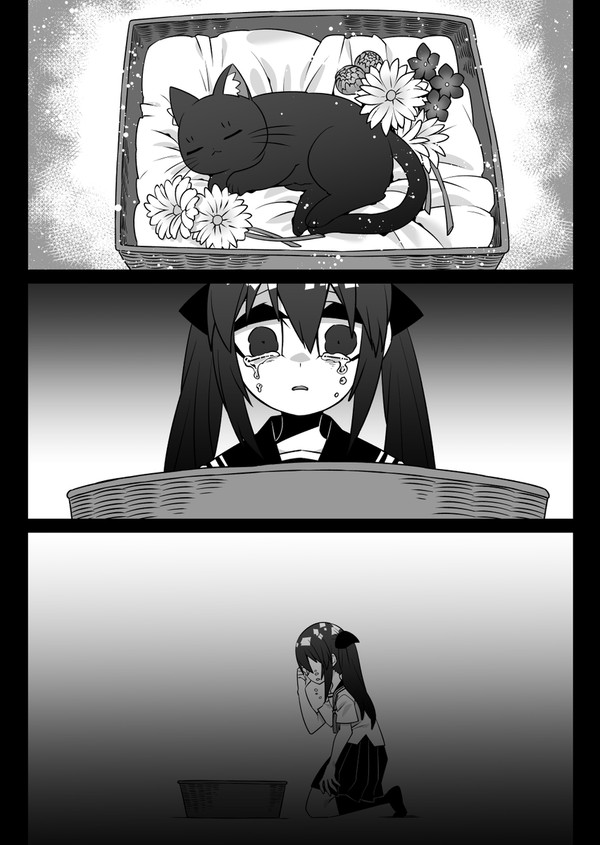 猫を亡くした私の元に新しい猫が来た話