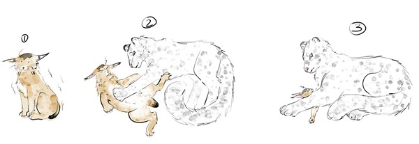 How to warm up a wildcat