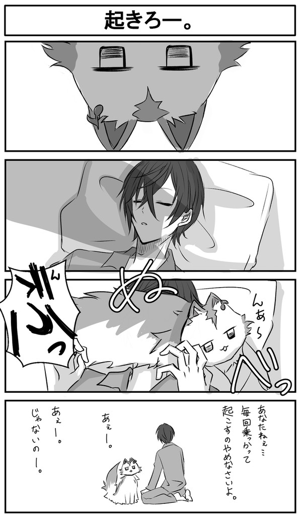 むふぉとねこ