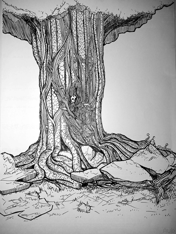 ancient tree