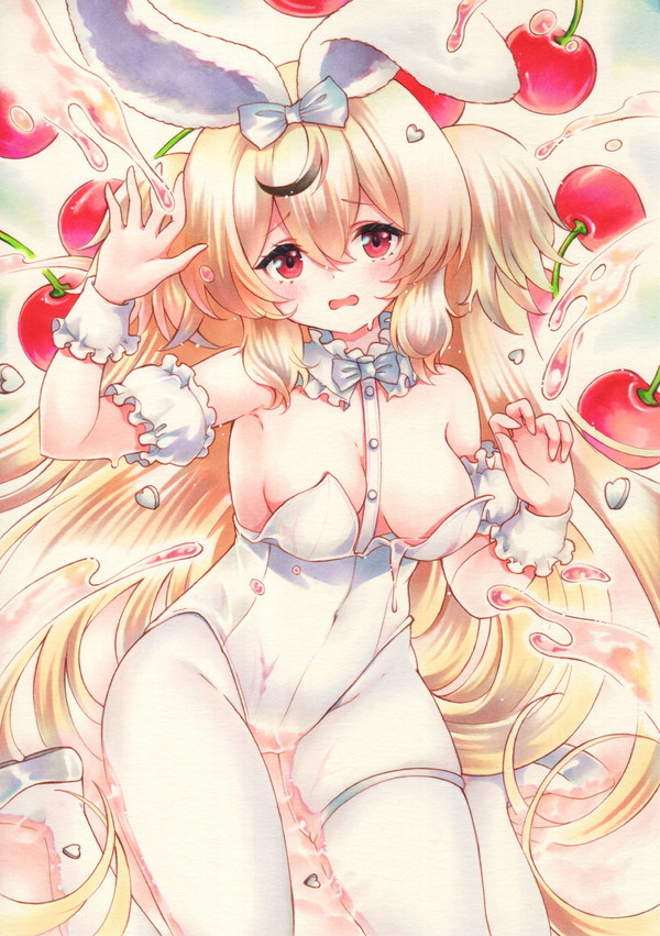 Z9バニー