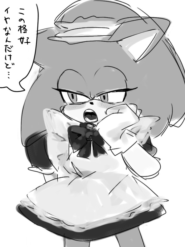 ソニック 雑まとめ