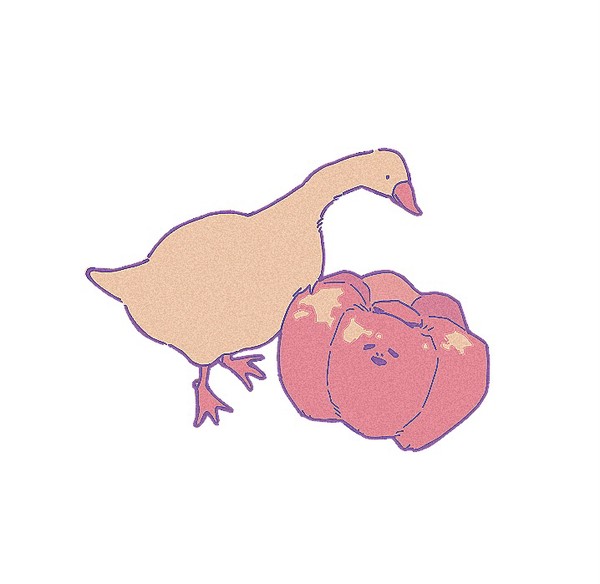 FA