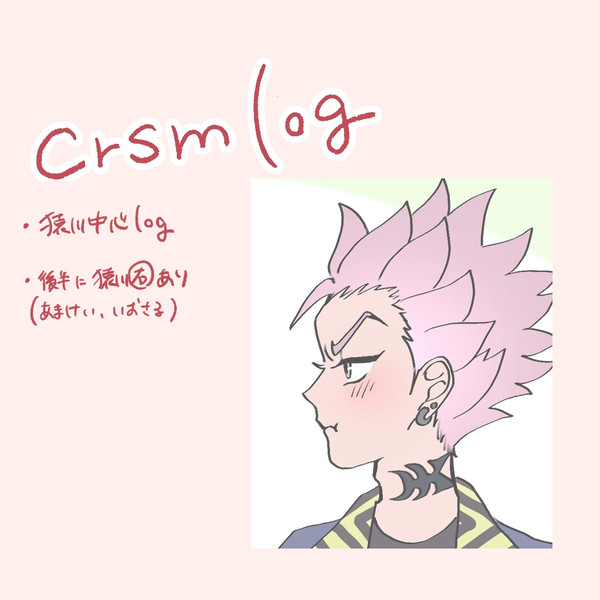 crsm log