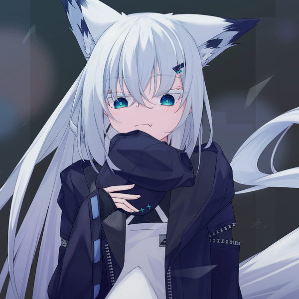 こんな時間にどうしたのー【FoxDoll】