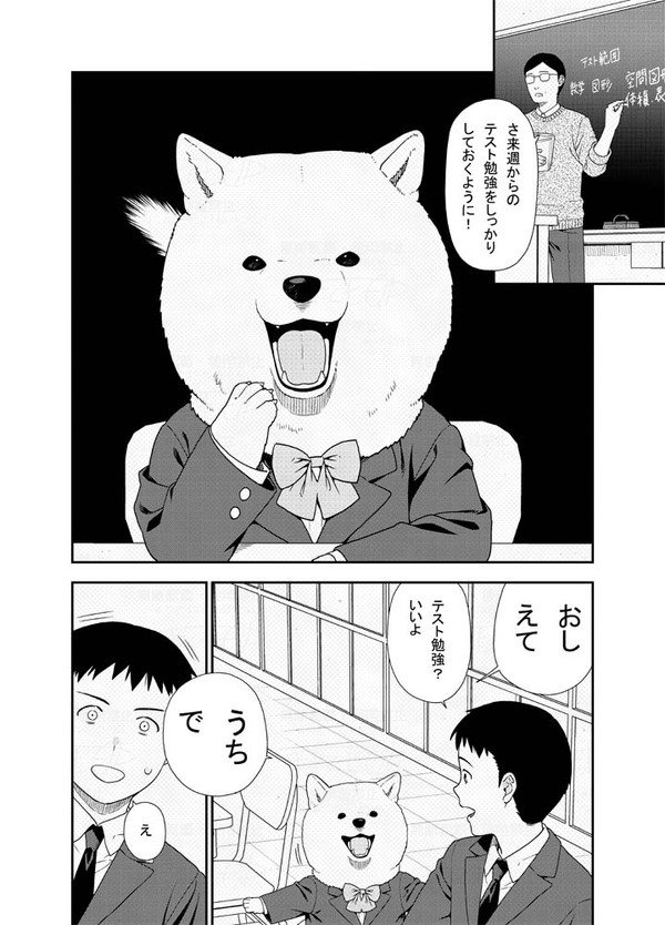 29