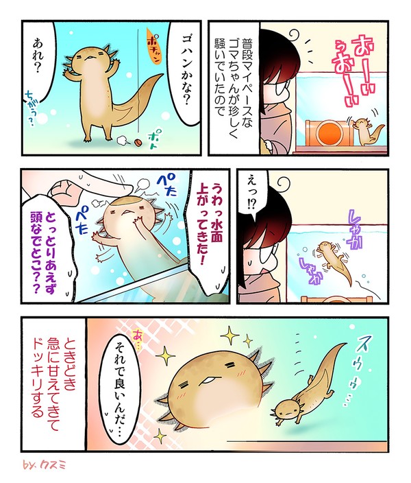 【ウパだより】