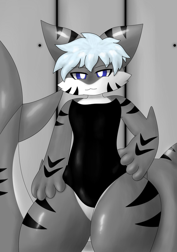 Tshark Changed