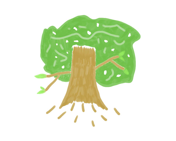 大樹