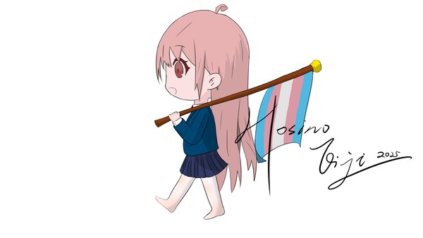 Transgender Flag