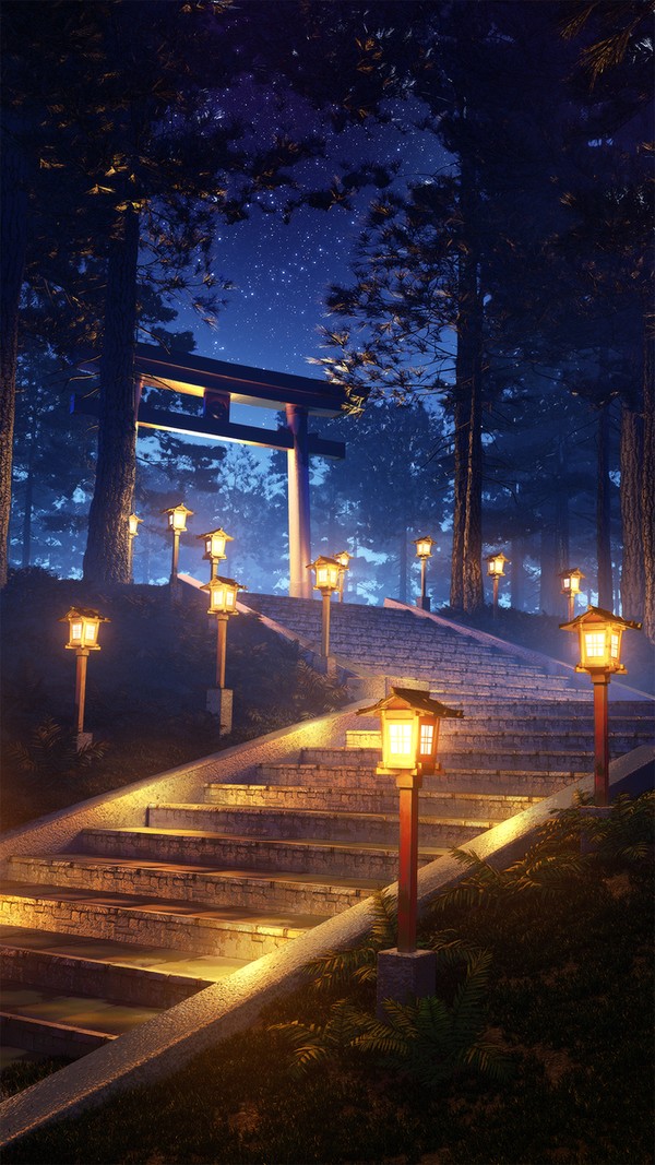 森の参道・夜