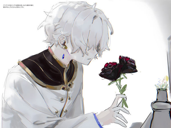 ほぼレグルス