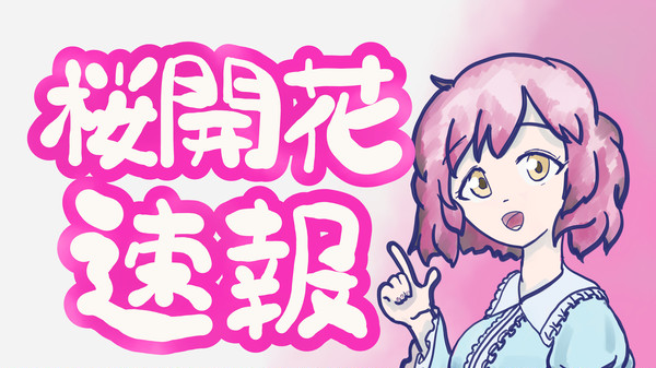 桜開花速報