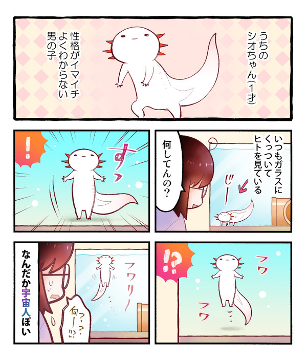 【ウパだより】