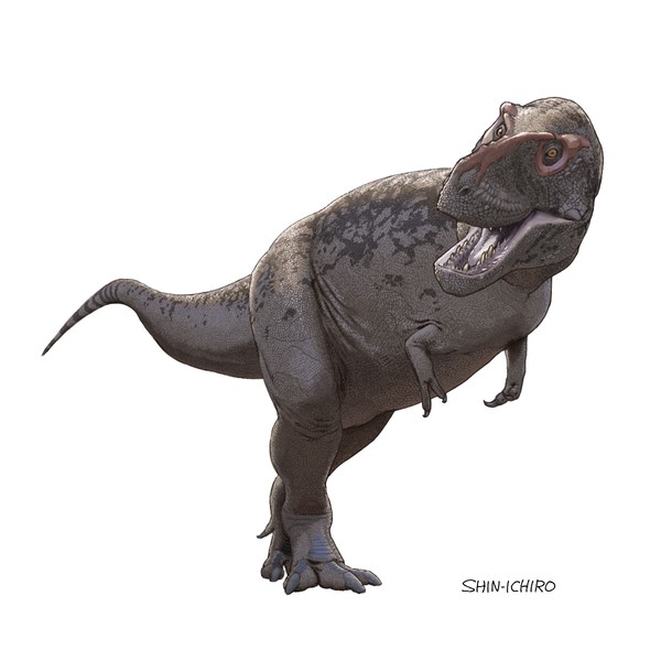 tyrannosaurus2025