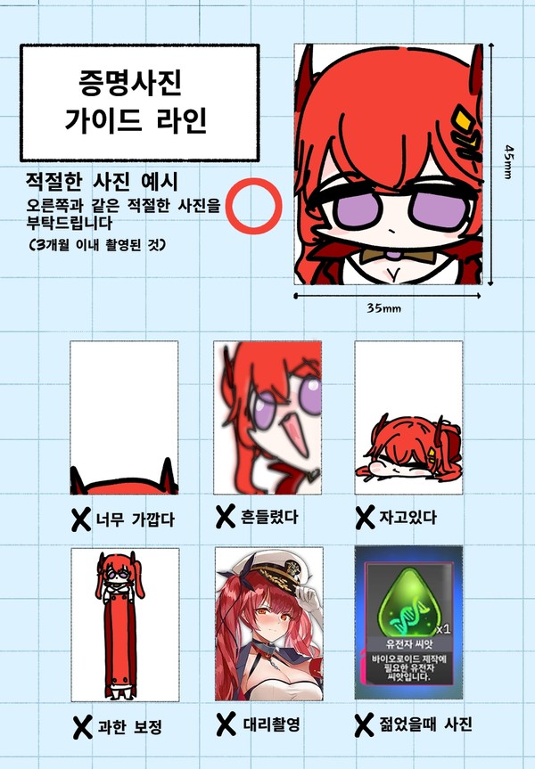 증명사진 가이드라인