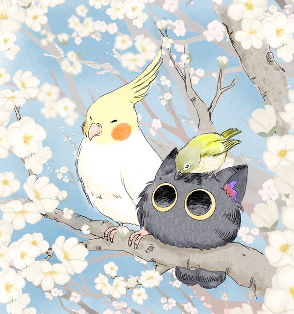 オカメインコ審神者~ふわふわとひらひら・春の声