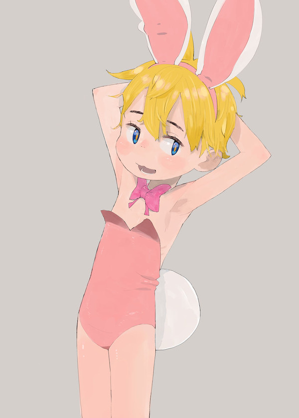 無い胸は