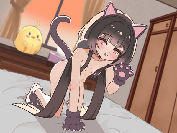 長風ママ猫