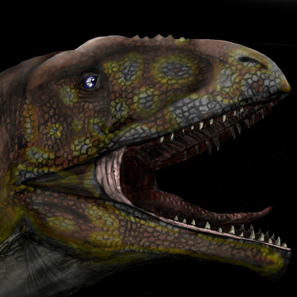Meraxes gigas