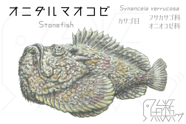 色鉛筆画もういっちょ