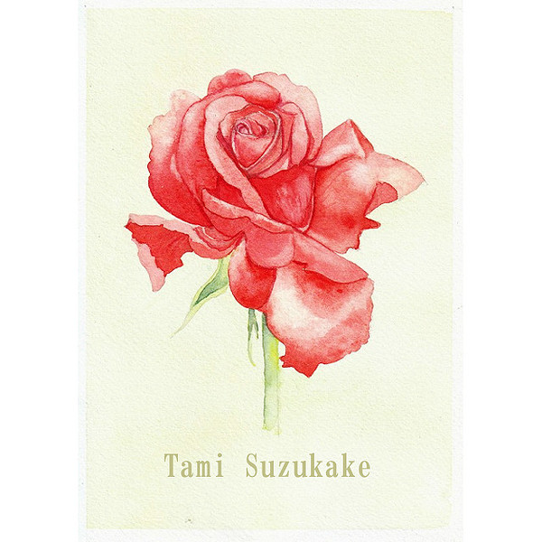 絵画販売・水彩原画「薔薇の花」