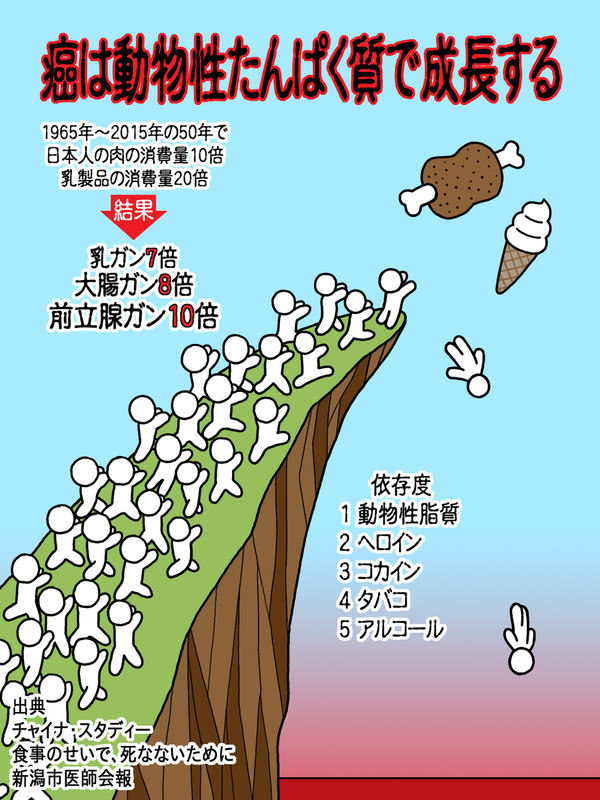 癌は動物性たんぱく質で成長する