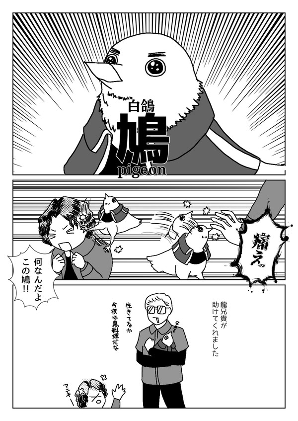 鳩洛軍