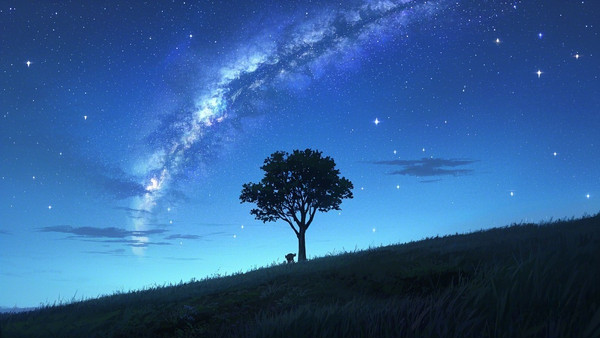 星河下，樹的囈語與夜的夢