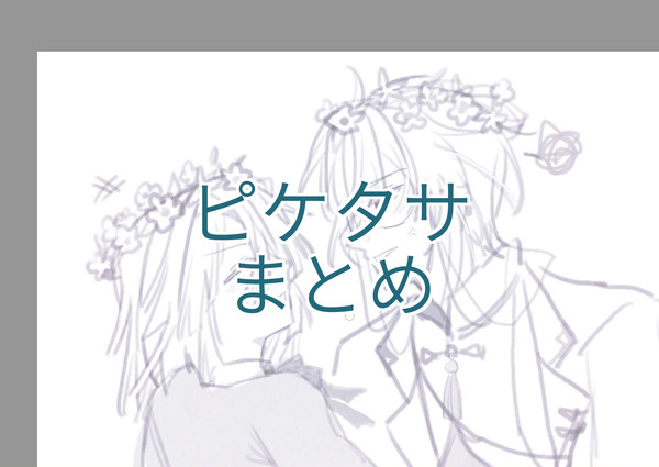 ピケタサまとめ