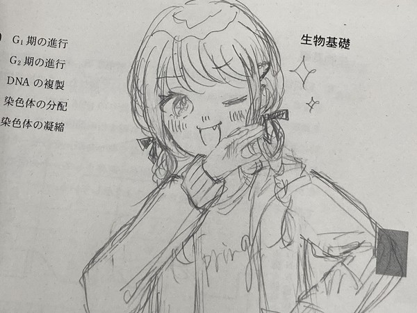 ｺﾄﾈちゃん