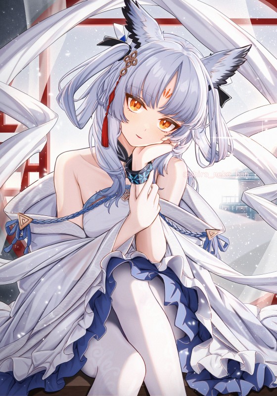 フィリオプシスさん