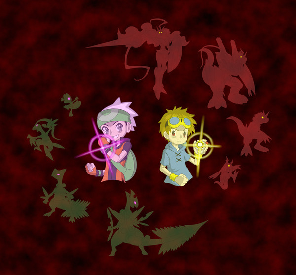 "Mega Shinka X Matrix Evolution"