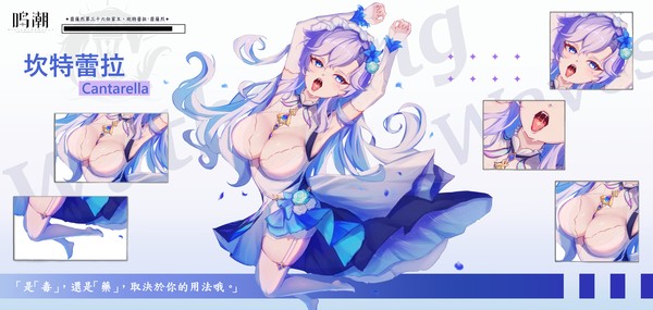 Cantarella丨banner