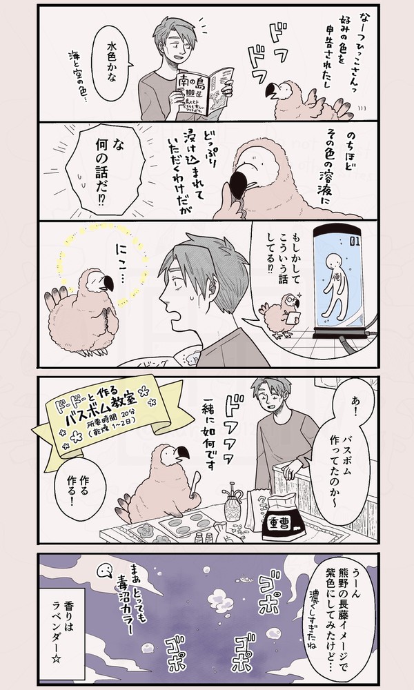 奥さまはドードー鳥