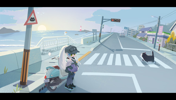 沿海路上的骑士——可露凯